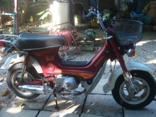 HONDA ชาลีเดิมๆสวย..ถูกๆ HONDA ชาลีเดิมๆสวย..ถูกๆ