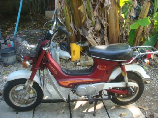 HONDA ชาลีเดิมๆสวย..ถูกๆ