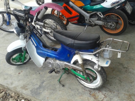 ชาลีถูกๆ