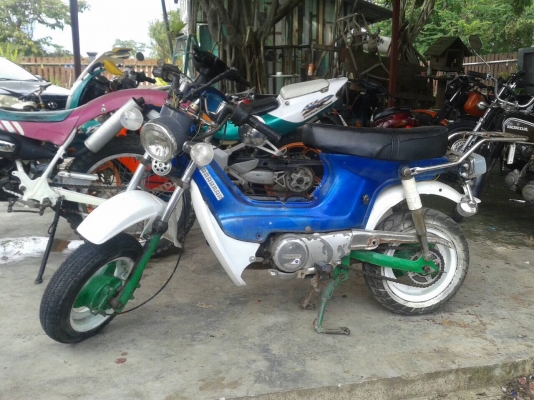 ชาลีถูกๆ