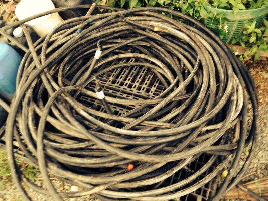 ขายโลละ400