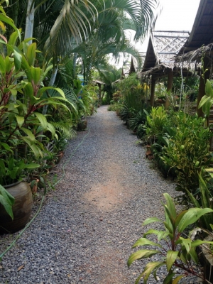 ขาย กิจการสวนอาหาร พร้อมบ้าน ที่ดิน ริมน้ำ เดินทางสะดวก