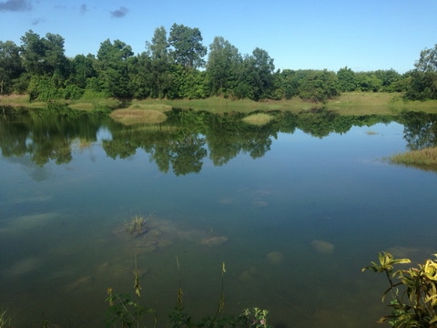 ขาย กิจการสวนอาหาร พร้อมบ้าน ที่ดิน ริมน้ำ เดินทางสะดวก