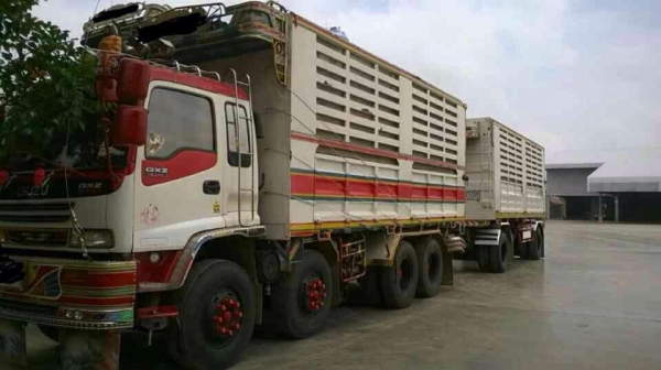 ขายรถสิบล้อ Isuzu DECA 270 คอกเกษตรดั้ม แม่ลูก ปี47ยูโร 2 รถสวยพร้อมใช้งาน ราคาต่อรองได้