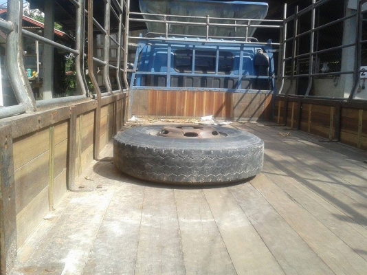 ขายISUZU NPR 115แรง เกียร์สั้นแท้ปี34 ยาว5เมตร เครื่องดี แคชซีสวย ภายในสวย สภาพพร้อมใช้งาน เอกสารพร้อมโอน จัดไฟแนนซ์ได้ เงื่อนไขง่ายๆวันเดียวรับรถ สนใจโทร 090-8588220คุณนะ หรือ www.truck.in.th/498 ID:narong498 FB:ณรงค์ซื้อขายรถมือสอง(เว็บไซต์ส่วนตัว) ขายISUZU NPR 115แรง เกียร์สั้นแท้ปี34 ยาว5เมตร เครื่องดี แคชซีสวย ภายในสวย สภาพพร้อมใช้งาน เอกสารพร้อมโอน จัดไฟแนนซ์ได้ เงื่อนไขง่ายๆวันเดียวรับรถ สนใจโทร 090-8588220คุณนะ หรือ www.truck.in.th/498 ID:narong498 FB:ณรงค์ซื้อขายรถมือสอง(เว็บไซต์ส่วนตัว)