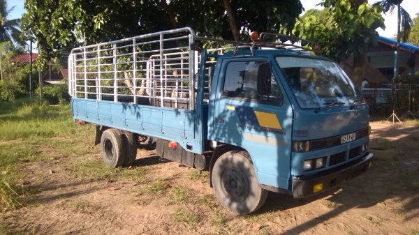ขายรถบรรทุกหกล้อ ISUZU NPR59L เครื่อง 115 แรง รถห้างแท้ ปี 36 แอร์เย็น กระบะคาร์โก้ยาว 4.30 เมตร แชสซีสวย ยางดี รถพร้อมใช้งาน