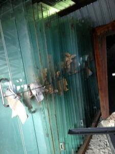 กระจกแคปเปอร์บานใหญ๋ หนา 8 มิลกระจกแคปเปอร์บานใหญ๋ หนา 8 มิล กว้าง 120 ซ.ม  สูง 250 ซ.ม  ขายเป็นชุดครับ (2 แผ่น) ซื้อใหม่เกือบ2หมื่นครับ มี 1 ชุดครับ