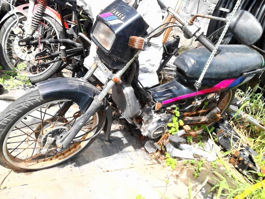 ขาย เบล 100