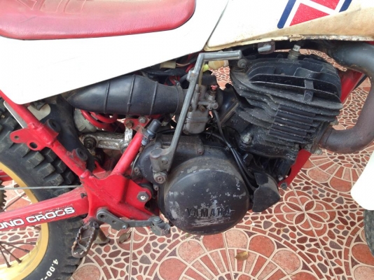 ไต่เขา yamaha ty250cc