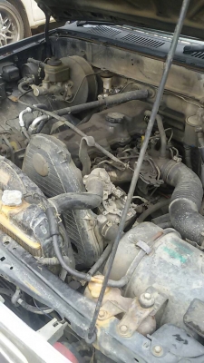 ไมตี้เอ็ก