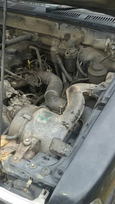 ไมตี้เอ็ก