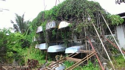 ขายเรือเหมาะสำหรับกุ้ภัยช่วยน้ำท่วม ขายเรือเหมาะสำหรับกุ้ภัยช่วยน้ำท่วม