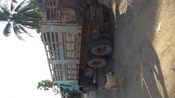 ขายกระบะดั้มHINO ขายกระบะดั้มHINO