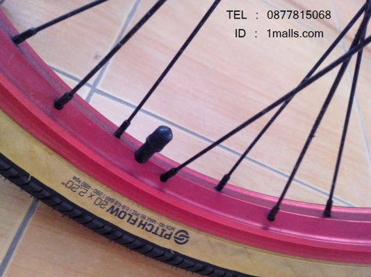 ขาย WeThePeople Reason 2013-2012 มือสอง