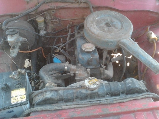 ช้างเหยียบ Datsun ห้าขอไฟนอน