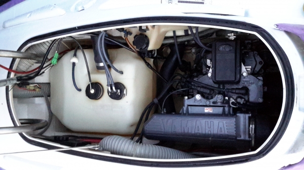 ปลาโอ700ccงามๆๆคับ