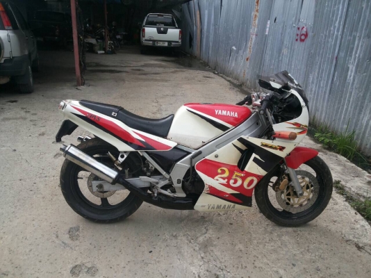 ขาย TZR250 (1KT) ทะเบียนแท้เอกสารการโอนครบ ขาอต่อปี50 รถของครบ จอดนาน ยังไม่ติด นักสะสมรีบเลยครับ