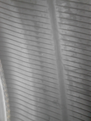 205/60R16 BRIDGESTONE TURANZA GR90   ปี2012  ไม่มีปะ  มี 2 เส้น  TEL.081-427-3941