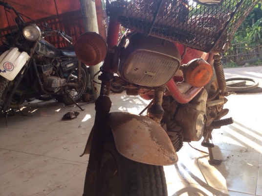 ขายชิปปี้ แห้งๆสภาพสวย 5500 ด่วนๆ