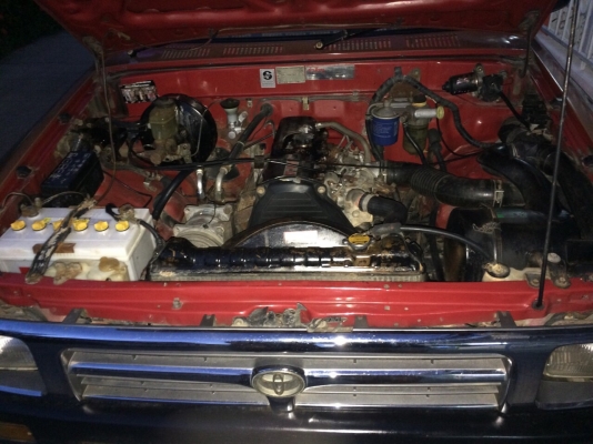 ขายไมตี้ปี39 ราคาโดนใจ ขายไมตี้ปี39 ราคาโดนใจ