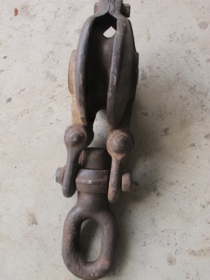 ขายรอกเก่านอกสวยๆ ตัวใหญ่แข็งแรง kansai ขนาด18.5นิ้วครับ