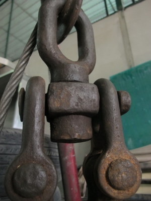 ขายรอกเก่านอกสวยๆ ตัวใหญ่แข็งแรง kansai ขนาด18.5นิ้วครับ