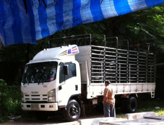 หกล้อ อีซูซุ NQR175แรงปี54 ยาว5.5เมตร สภาพดีสวยเดิมๆจากห้าง ทะเบียนพร้อมโอน