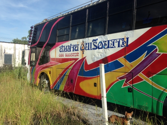 ขายตัวถังรถบัสพำัดลม สูงเต็ม3.80เมตร ขายตัวถังรถบัสพำัดลม สูงเต็ม3.80เมตร