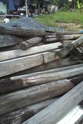 ขายเหมาไม้ เสา ประมาณ 100 ต้น