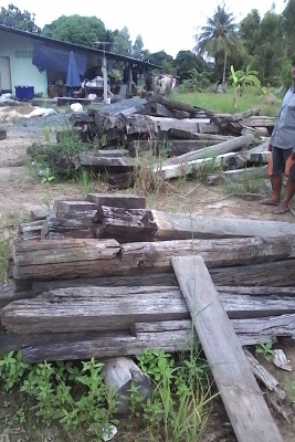 ขายเหมาไม้ เสา ประมาณ 100 ต้น