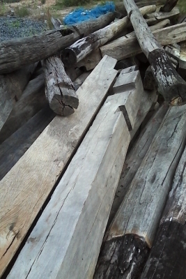 ขายเหมาไม้ เสา ประมาณ 100 ต้น