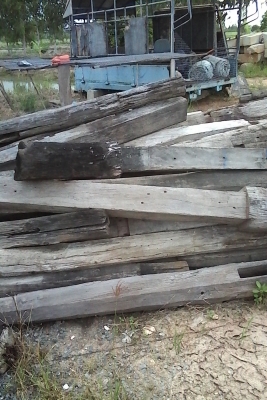 ขายเหมาไม้ เสา ประมาณ 100 ต้น