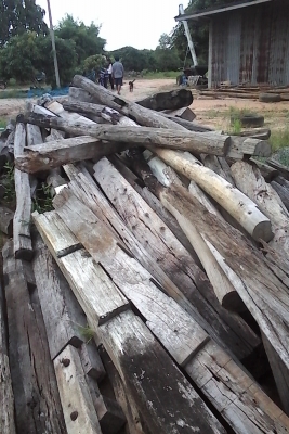 ขายเหมาไม้ เสา ประมาณ 100 ต้น