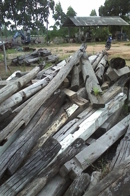 ขายเหมาไม้ เสา ประมาณ 100 ต้น