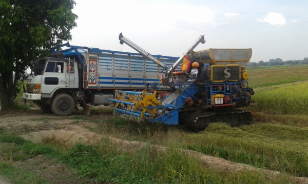 ขายด่วน