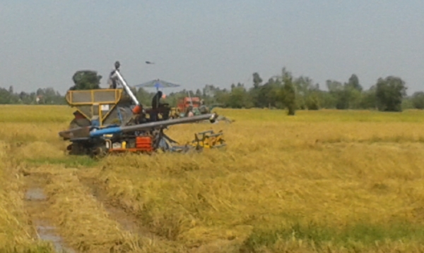 ขายด่วน