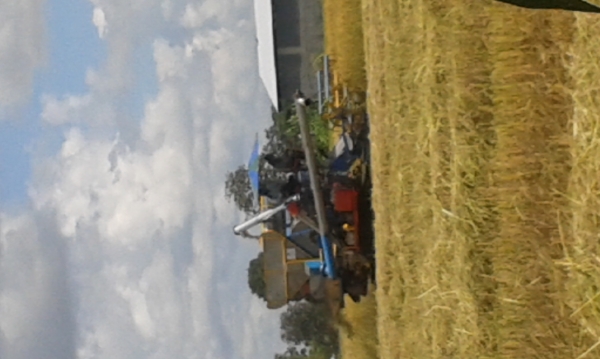 ขายด่วน