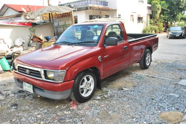 ขายไทเกอร์หัวเดียว ขายไทเกอร์หัวเดียว