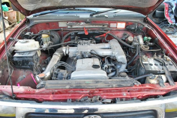 ขายไทเกอร์หัวเดียว ขายไทเกอร์หัวเดียว