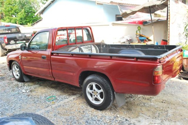 ขายไทเกอร์หัวเดียว ขายไทเกอร์หัวเดียว