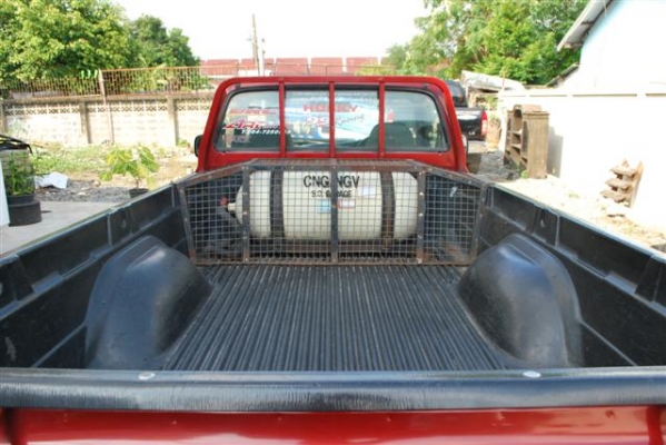 ขายไทเกอร์หัวเดียว ขายไทเกอร์หัวเดียว