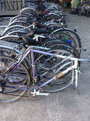 WWW.ByRin29.COM รถจักรยาน มีจำนวนมาก มีมากกว่าในรูป มีมาเพิ่มเรื่อยๆ สภาพเดิมๆจากญี่ปุ่น นำเข้าจากประเทศญี่ปุ่น