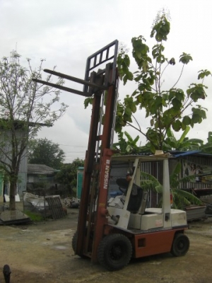 โฟกลิฟค์ นิซัน เบนซิน2ตัน เสาสูง3เมตร30 เก่านอกพร้อมใช่งานราคา 128,000บาท มาทดสอบแล้วต่อรองสินค้าได้เลยhttp://youtu.be/x-KGSBeRFRg