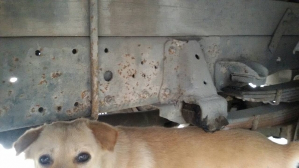 ISUZU-NPR59LU5M.เครื่อง.4BE1บะยาว4.30เมตร-ราคา275.000.บ