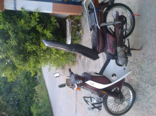 อร่อย หัวเขา  สุพัน  081 931 5032