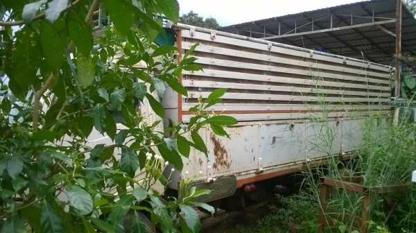 ขาย 6 ล้อ KM779 ยาว 5.50 เมตร เครื่อง WO4D 117 แรงม้า คัสซีสวยตลอดเส้น เฟืองท้ายของ FC4J ยางเต็ม ทะเบียนพร้อมโอน ราคาต่อรองได้