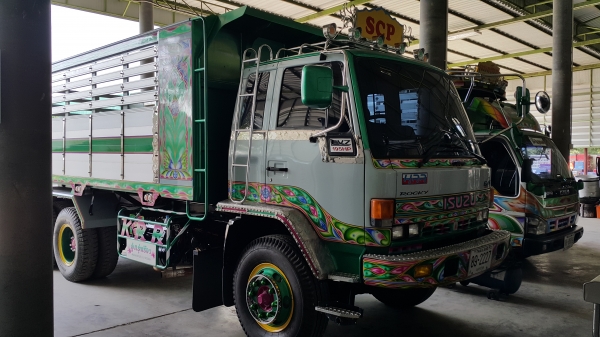 ขาย isuzu ร็อกกี้ 195 ใหม่เอี่ยม มือเดียว ขาย isuzu ร็อกกี้ 195 ใหม่เอี่ยม มือเดียว