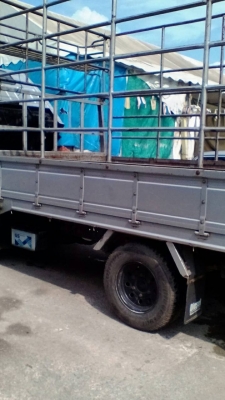 รถสวยคับ สี่ล้อเล็ก อีซูซุ สี่ล้อเล็ก 3059ซีซีปี52ลดราคาเหลือ285000บาท