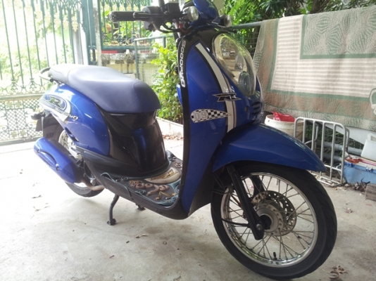 Honda scoopy i