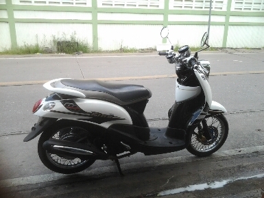 ฟีโน่ปี2556